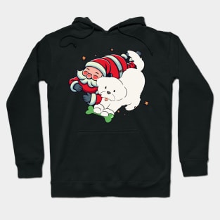 Santa Claus with Dog Hoodie